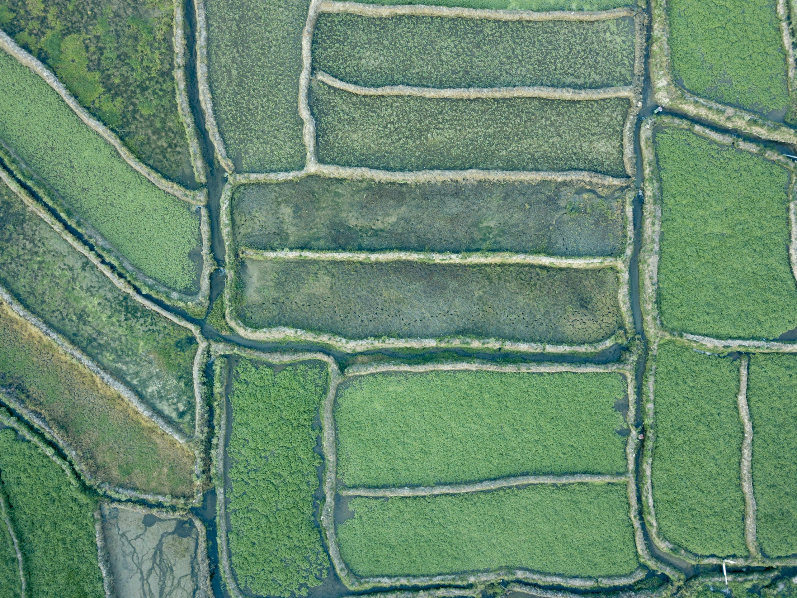 Land Use Management Applications